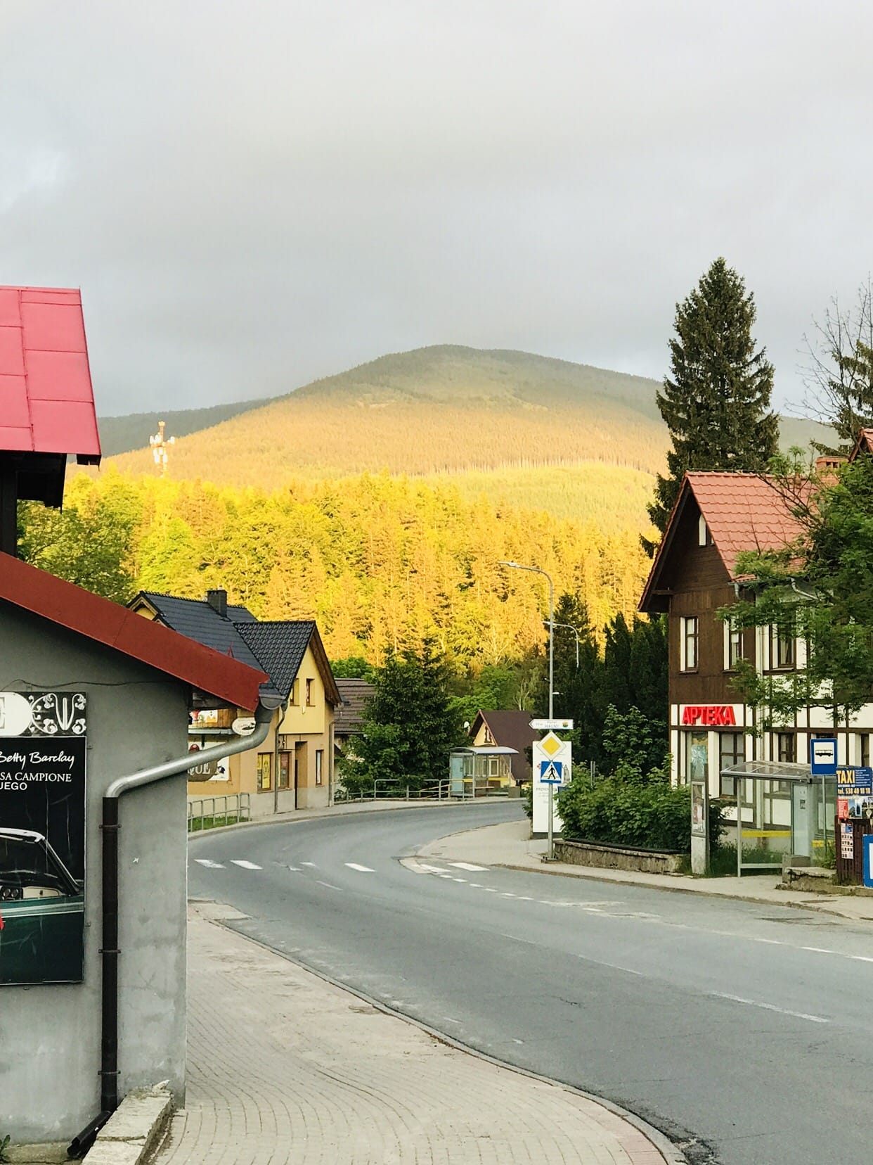 Zdjęcie 2