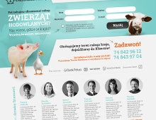Kredytowanie Zwierząt — landing page, realizacja web-pc.pl